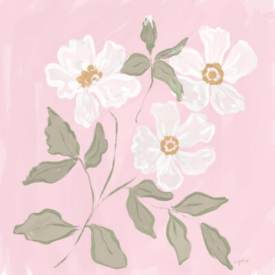 Image Not Available